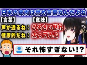 【ネリッサ・レイヴンクロフト】日本における皮肉の不在と遠回しな表現の違いについて語る